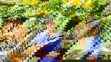 6 Day Italian Escape (Ages 27 to 35) (Contiki)