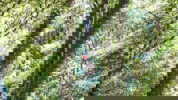 16 Day New Zealand Panorama (Contiki)