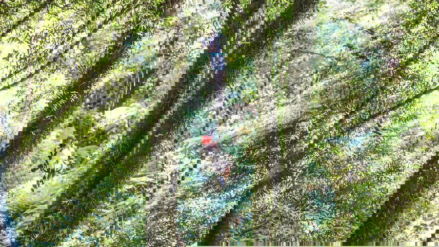 New Zealand Panorama