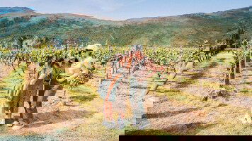 21 Day Ultimate New Zealand (Contiki)