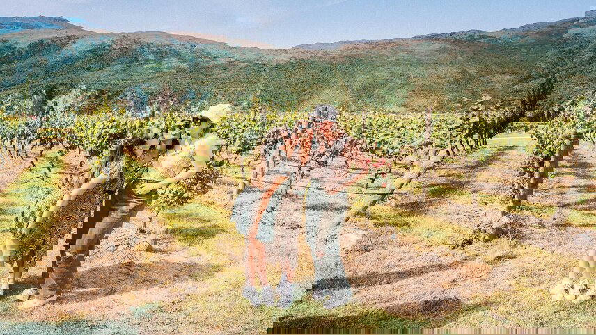 Ultimate New Zealand