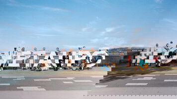 12 Day New Zealand: Northern Choice (Contiki)