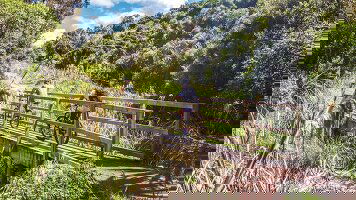 12 Day New Zealand: Northern Choice (Contiki)