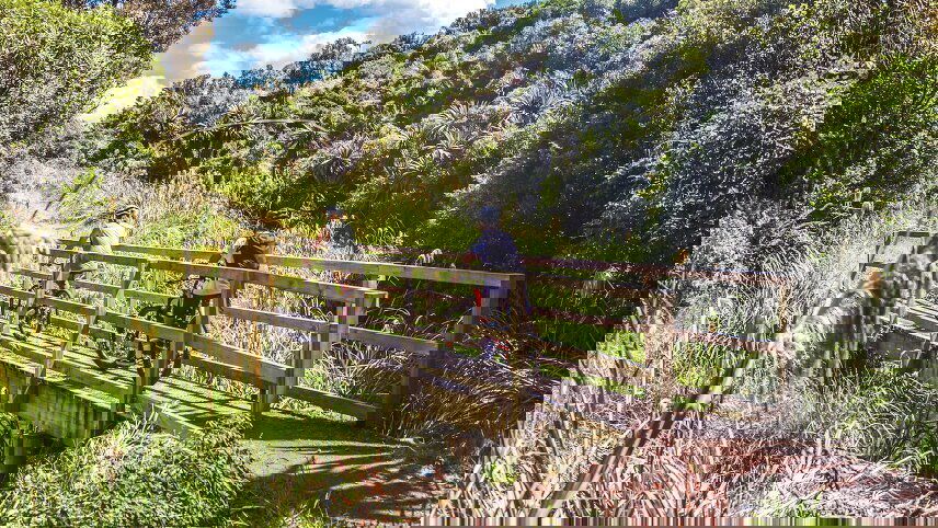 New Zealand: Northern Choice