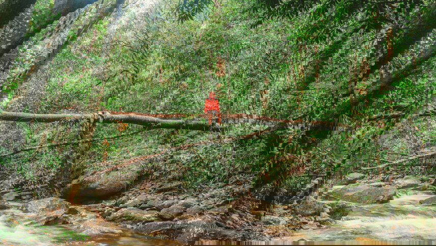 Australia: North Queensland to Uluru