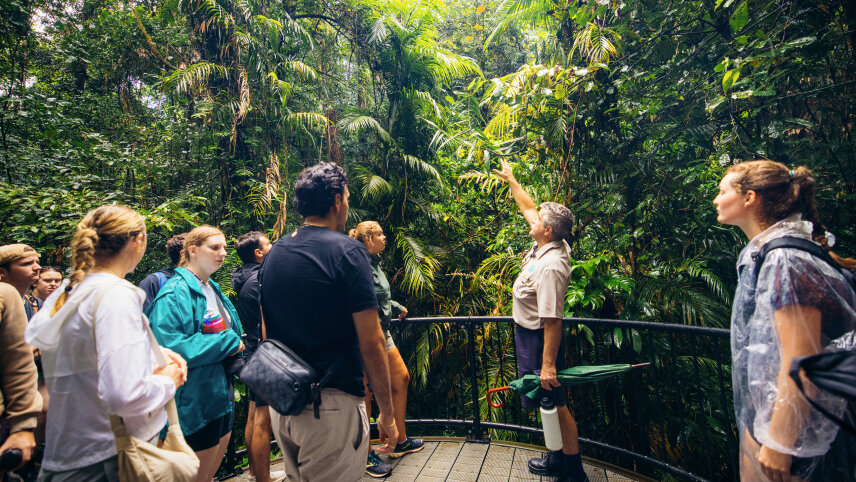 Australia: North Queensland Adventure