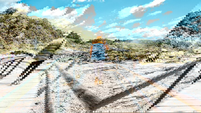 New Zealand: Sun & Steam