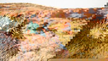 4 Day Australia: Uluru Explorer (Contiki)