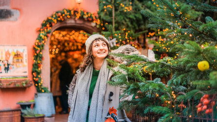 7 Day French Christmas Markets (Contiki)