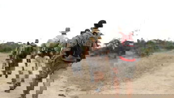 Cosmos's Expert Guides