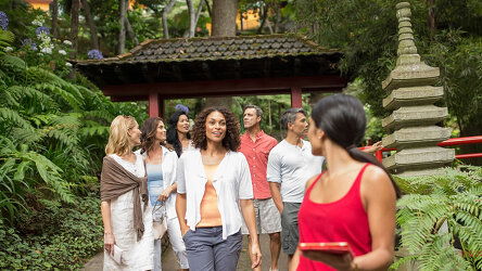 Cosmos's Expert Guides