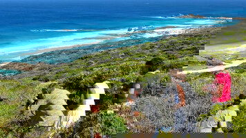 Cosmos's Expert Guides