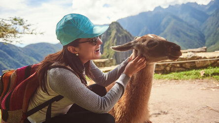 Cosmos's Expert Guides