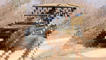 Why Travel with Cosmos?