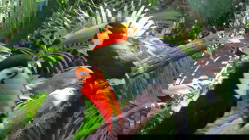 Personalise Your Adventure