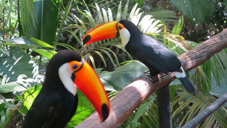 Personalise Your Adventure