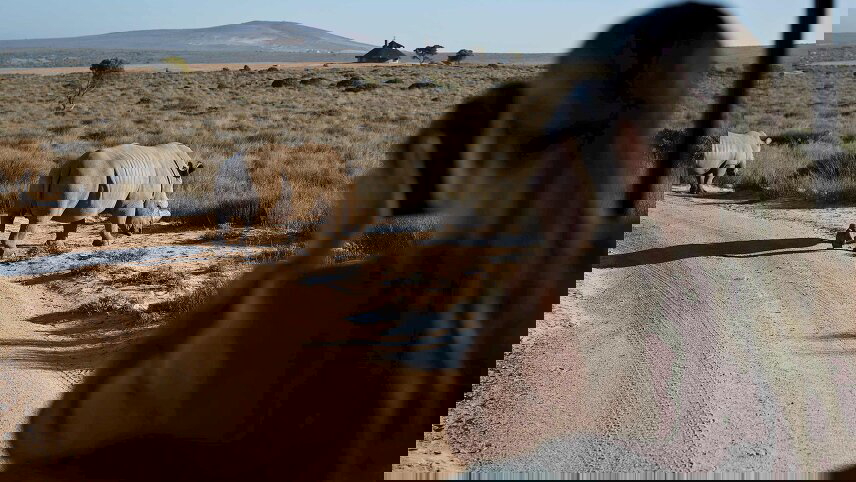 Icons of Southern Africa with Victoria Falls