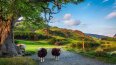 8 Day Britain and Ireland Delight (Costsaver)