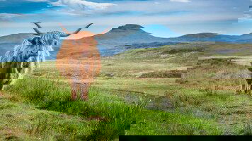 16 Day Britain and Ireland Explorer (Costsaver)