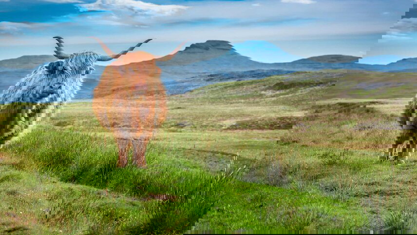 Britain and Ireland Explorer