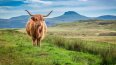16 Day Britain and Ireland Explorer (Costsaver)
