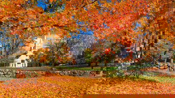 10 Day Fall Colours of New England (Costsaver)