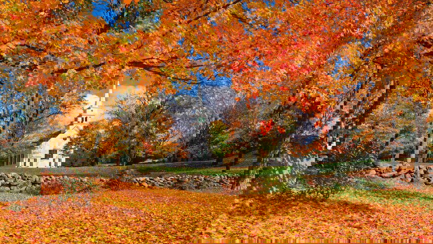 Fall Colours of New England