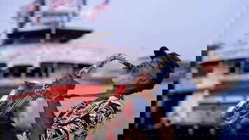 9 Day Rhythms of the South (Costsaver)