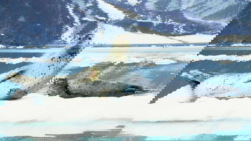 Wonders of the Canadian Rockies with Alaska Cruise