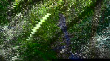 7 Day Costa Rica Adventure (Costsaver)