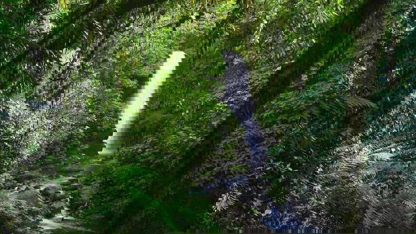 Costa Rica Adventure