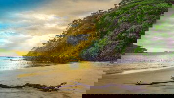 12 Day Costa Rica Adventure with Tortuguero and Guanacaste (Costsaver)