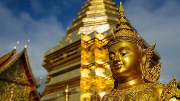 8 Day Snapshot of Thailand (Small Group) (Costsaver)