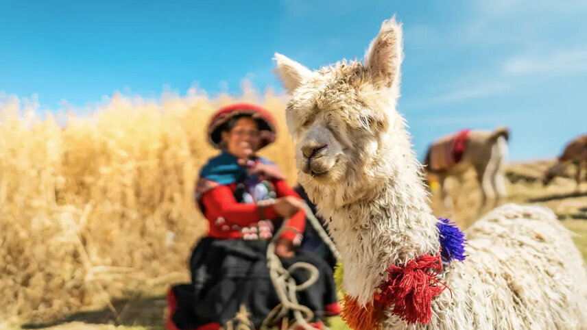 Peru's Machu Picchu and Beyond (Small Group)