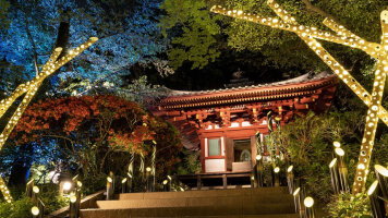 Characterful & well located hotels