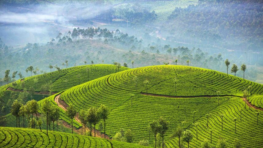 Treasures of Southern India