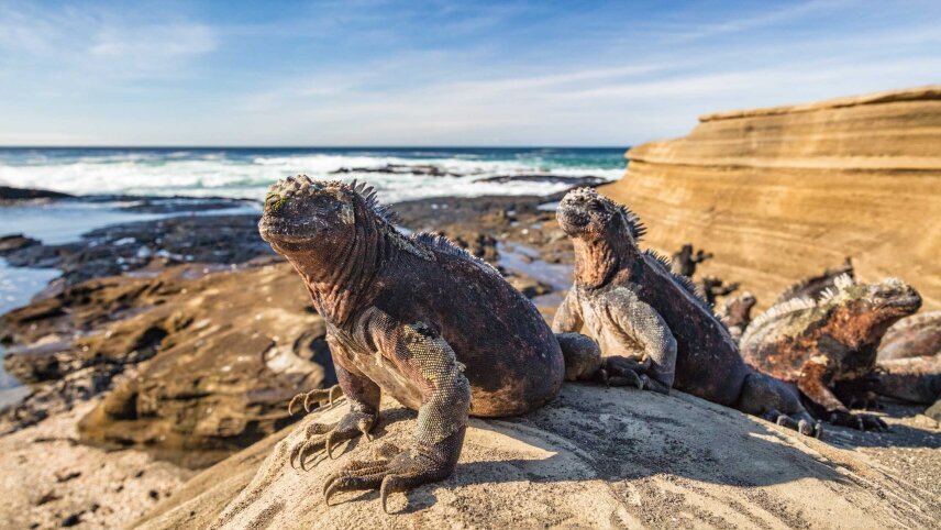 Peru & Galápagos Odyssey