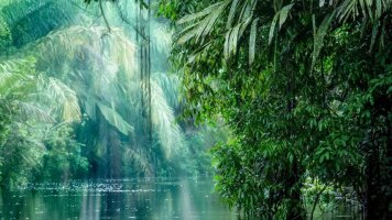 13 Day Panama & Costa Rica Experience (Solo Travellers Tour) (Cox & Kings)