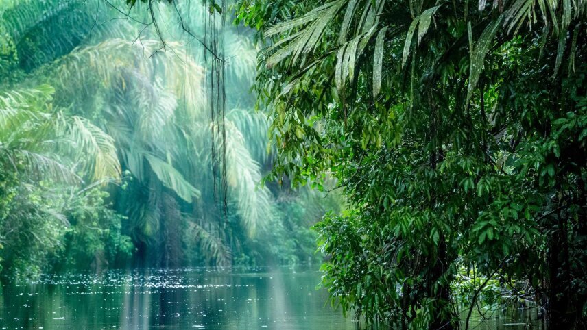 Panama & Costa Rica Experience (Solo Travellers Tour)
