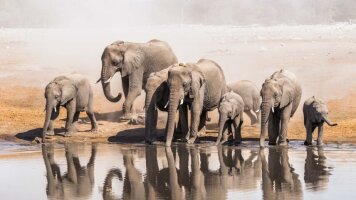 13 Day Namibia: Untouched Wilderness (Cox & Kings)