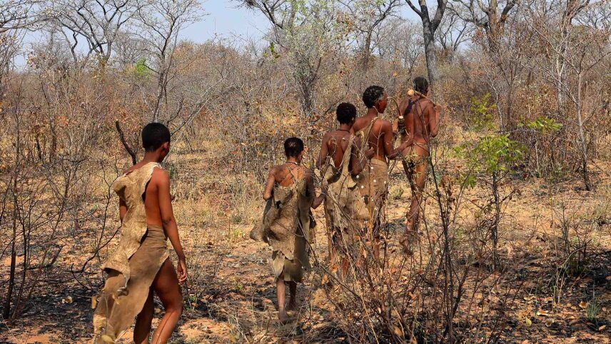 Namibia: Untouched Wilderness