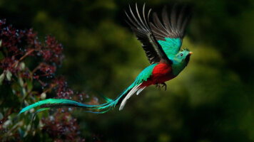 Natural Splendours of Costa Rica