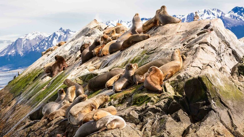 Patagonia: Untouched Wilderness