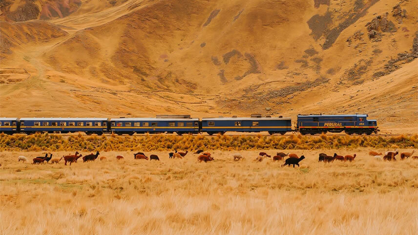 Train to Machu Picchu (Superior)