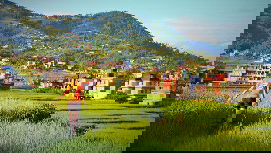 Hand-crafted Journeys & Immersive Experiences