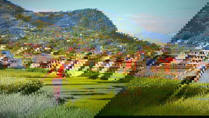 Hand-crafted Journeys & Immersive Experiences