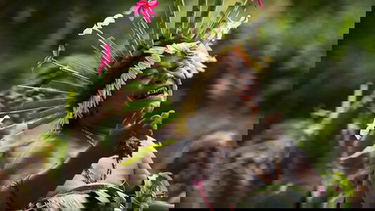 Cultural & Emotional Integration