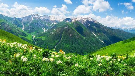 12 Day Discover Georgia (Crooked Compass)