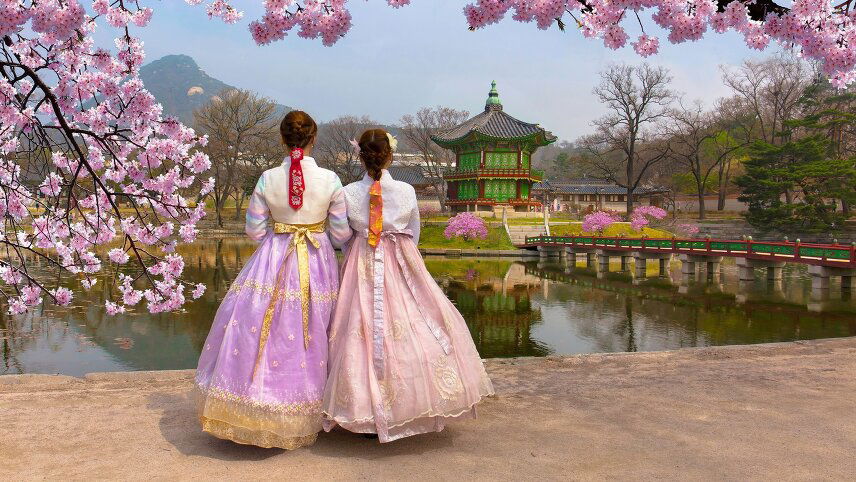 Founders'  Tour – Cherry Blossoms in North & South Korea