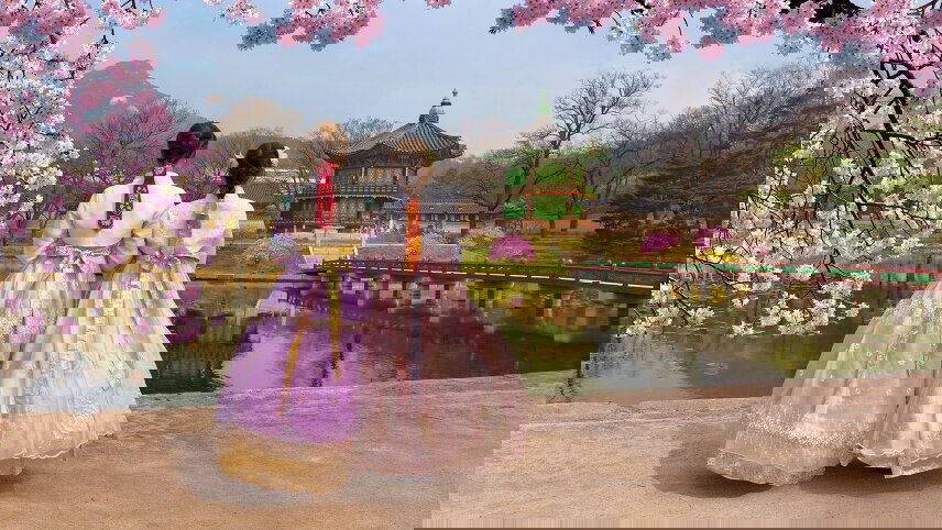 Founders' Tour – Cherry Blossoms in North & South Korea